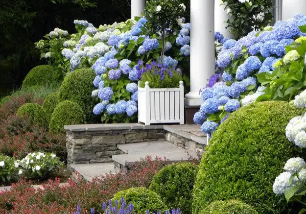 Cd9 Landscape Installation Services Southampton, NY