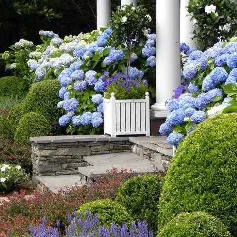 Cd9 Landscape Installation Services Southampton, NY