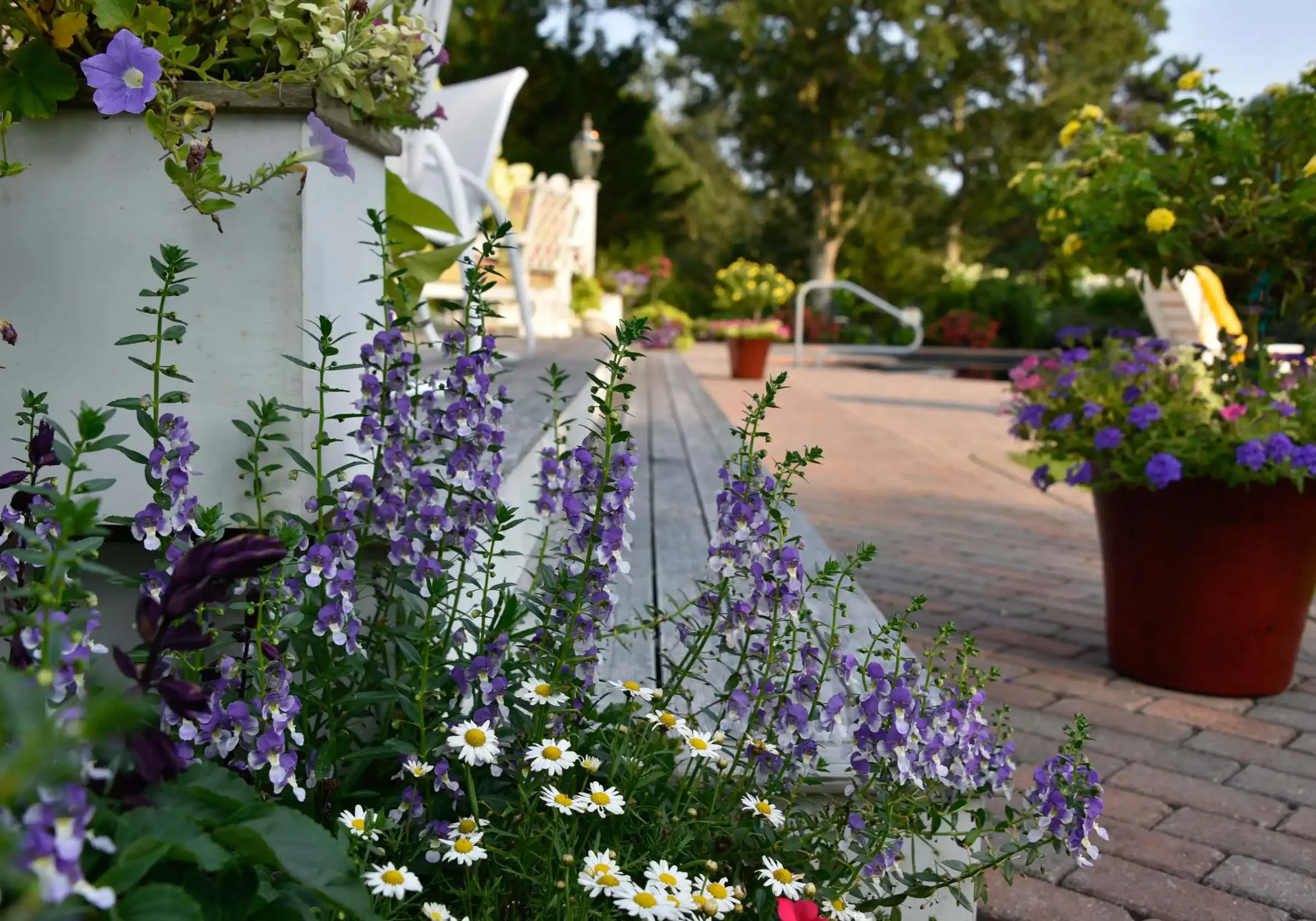 East Hampton, NY Landscaping Services