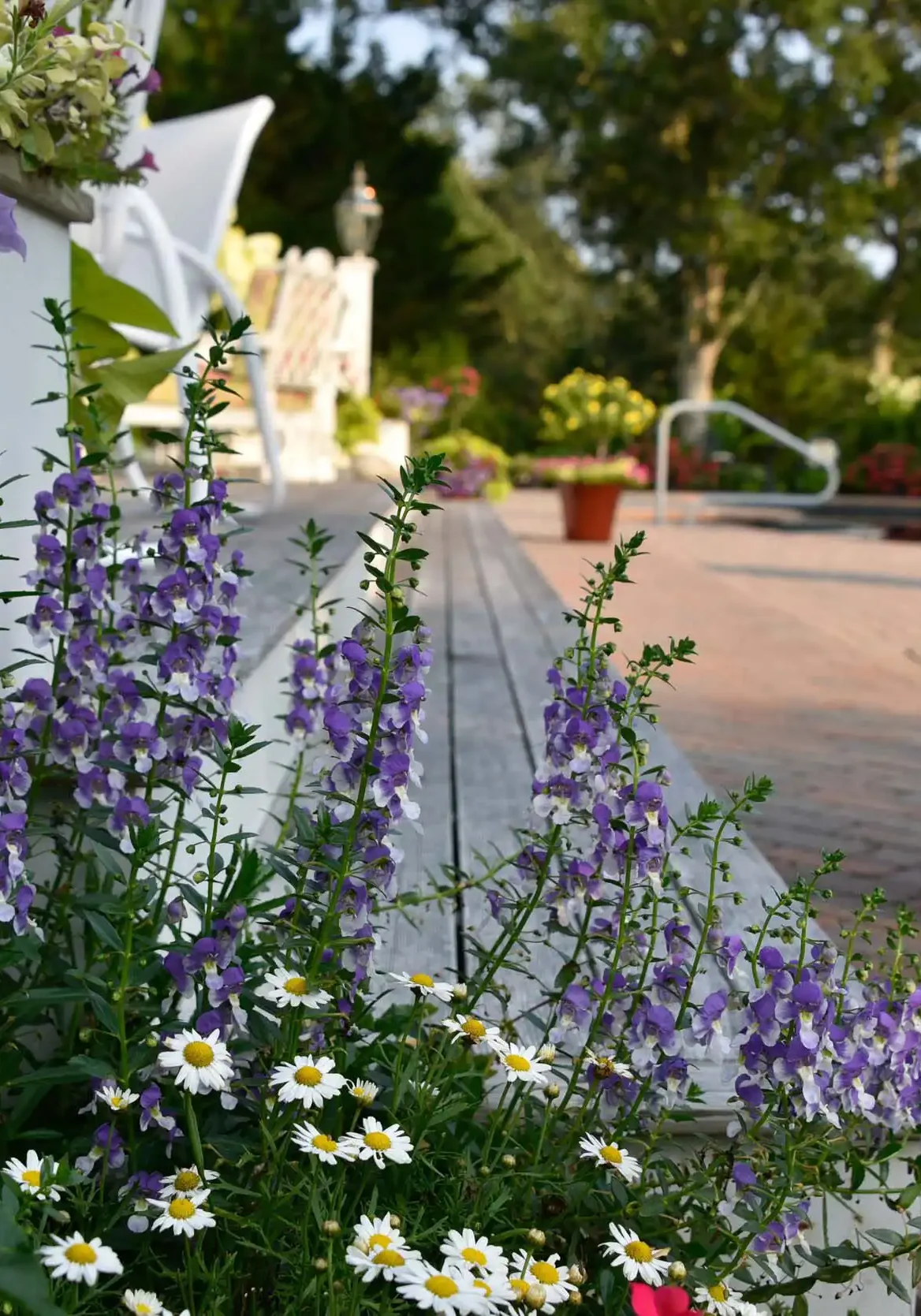 Cdpots9 East Hampton, NY Landscaping Services