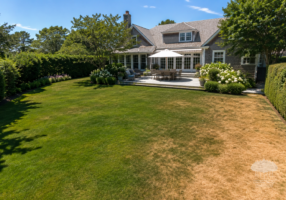Hamptons-style backyard with manicured lawn developing dry brown areas during an intense summer heat wave, demonstrating the effects of extreme temperatures on lawn health and proper Hamptons lawn care.