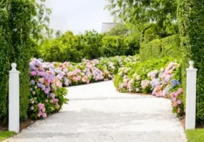 Tips for Growing and Maintaining Healthy Hydrangeas LANDSCAPE DETAILS, CREATIVE TOUCH, LANDSCAPE LIGHTING, SCREENING TREES IN THE HAMPTONS, SECURITY SERVICES, LIGHTING SERVICES, LANDSCAPE SERVICES. EASTHAMPTON, SOUTHAMPTON, WESTHAMPTON, SAG HARBOR Bridgehampton, NY Amagansett, NY Sag Harbor, NY Westhampton, NY Hampton Bays, NY Montauk, NY Westhampton Beach, NY North Haven,NY. Sagaponack, NY Remsenburg, NY Quogue, NY