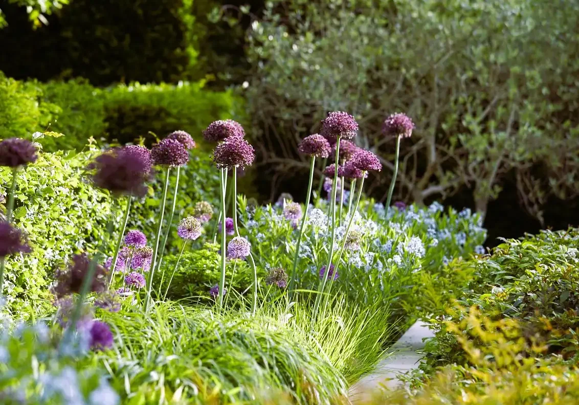 Image Four Southampton, NY Landscape Design