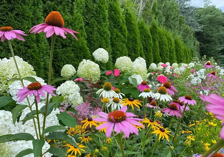 Landscapegardendesign2 Landscapegardendesign2