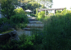 revegetation in easthampton, southampton, across the hamptons learn how to be compliant with revegetation projects