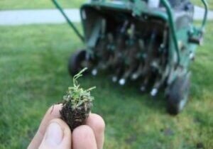 aweration, overseeding, lawncare. soil improvement, award winning landscaping company in the hamptons